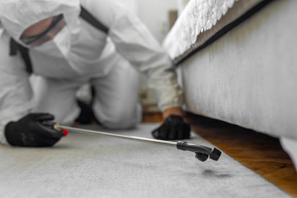 Professional Bed Bug Control technician working in Phillips, WI